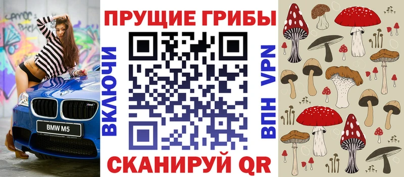закладка  Смоленск  Галлюциногенные грибы Psilocybine cubensis 